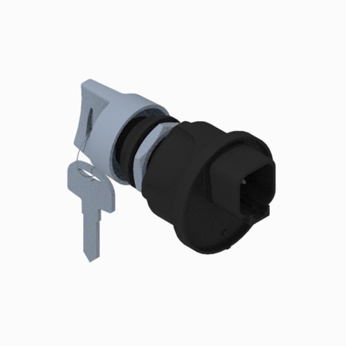 Ignition Switch Assembly