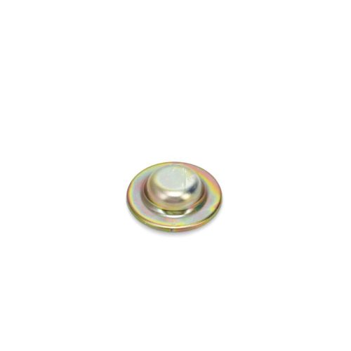 Wheel Cap Bearing